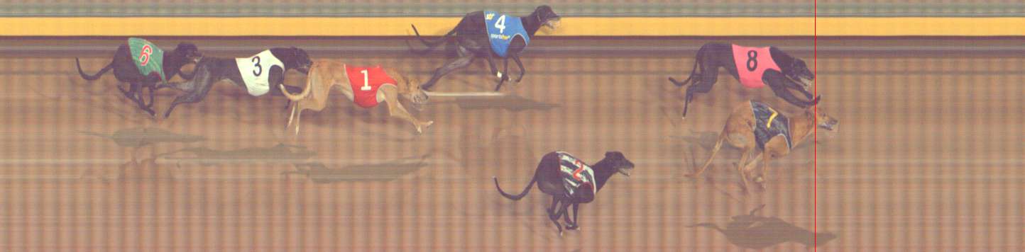 Photo finish for Bendigo Race 4