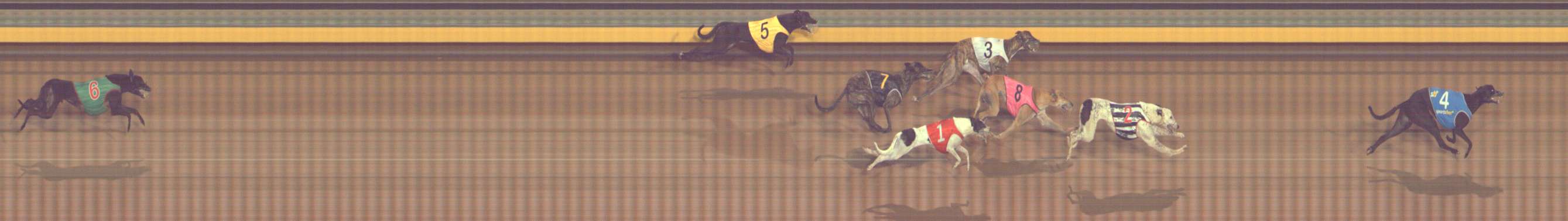 Photo finish for Bendigo Race 5