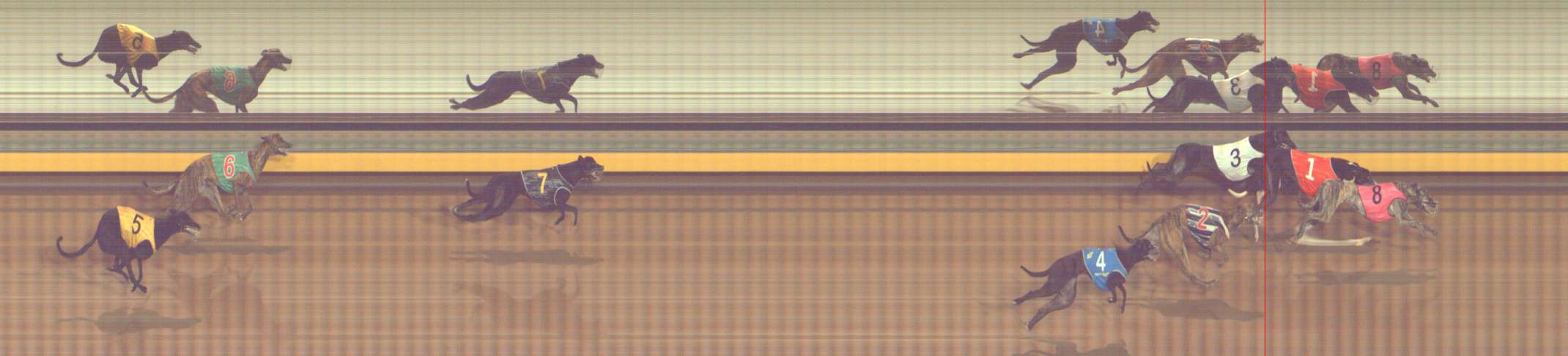 Photo finish for Bendigo Race 6
