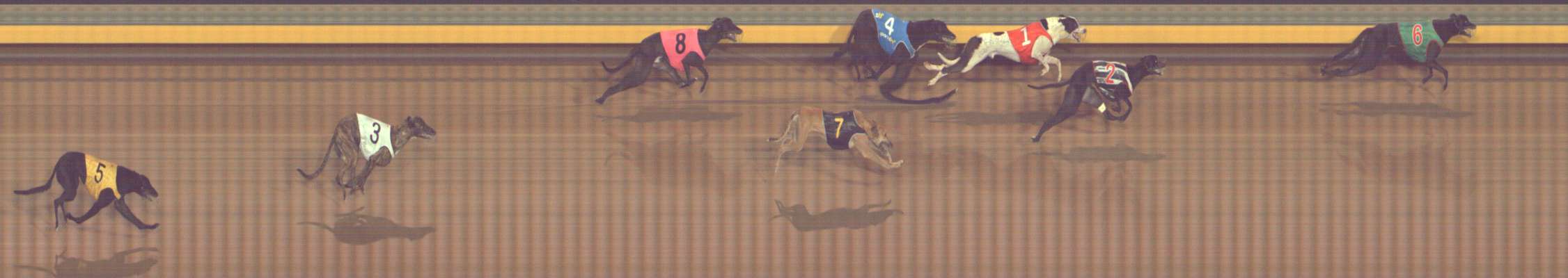 Photo finish for Bendigo Race 7