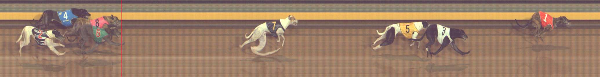 Photo finish for Bendigo Race 8
