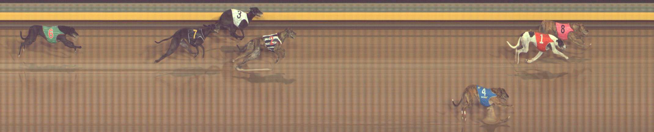 Photo finish for Bendigo Race 9