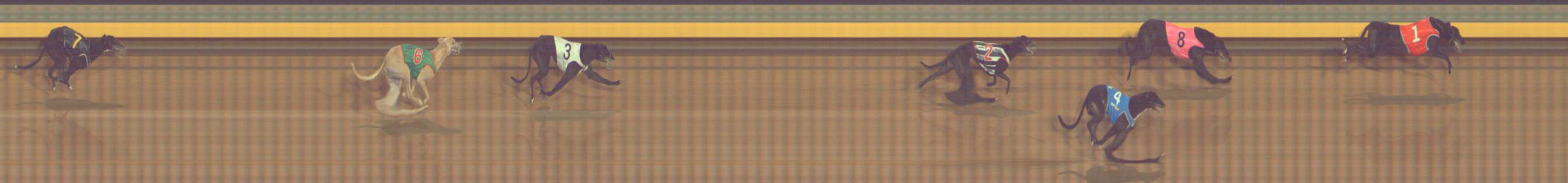 Photo finish for Bendigo Race 11