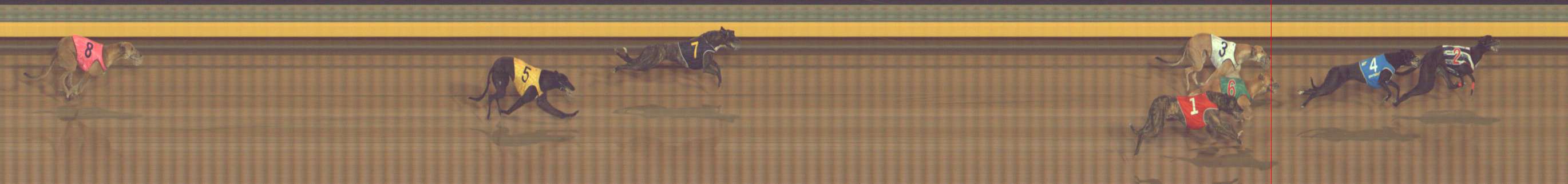 Photo finish for Bendigo Race 12