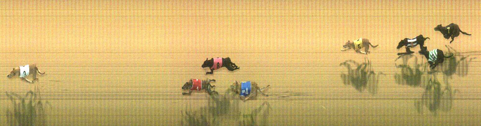 Photo finish for Cranbourne Race 8
