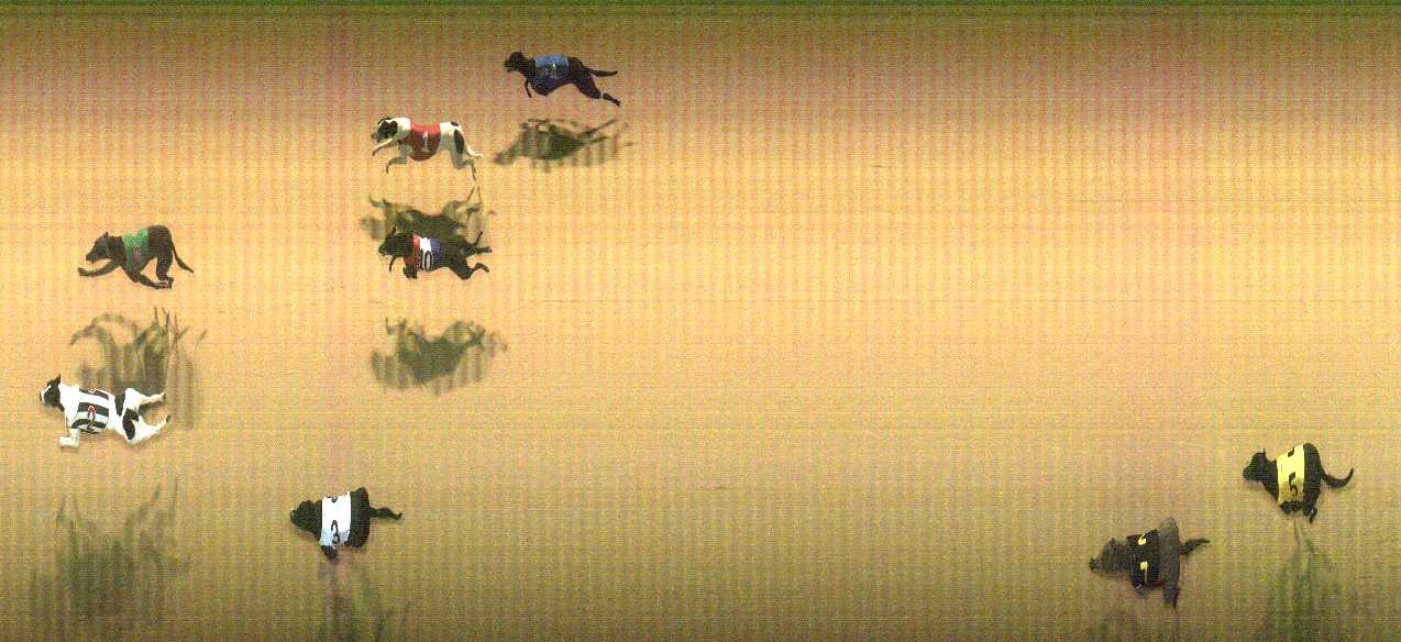 Photo finish for Cranbourne Race 11
