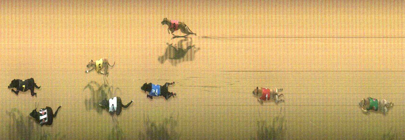 Photo finish for Cranbourne Race 12