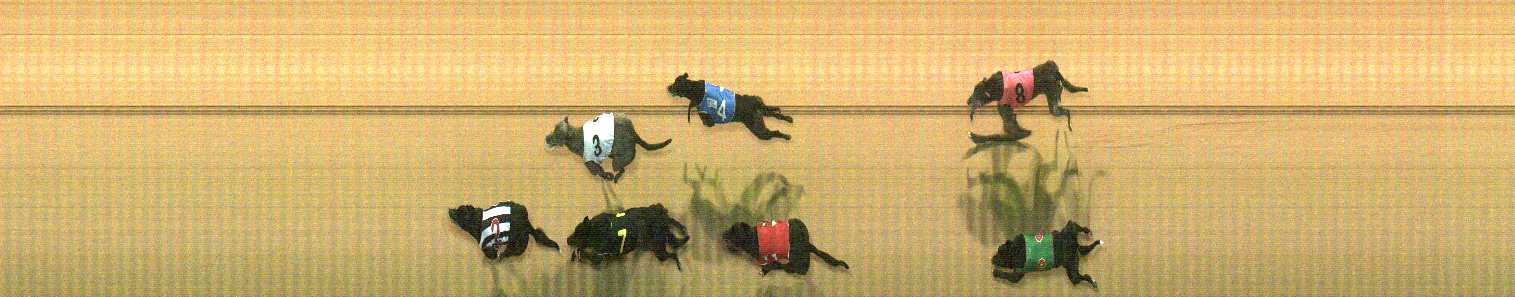 Photo finish for Cranbourne Race 6