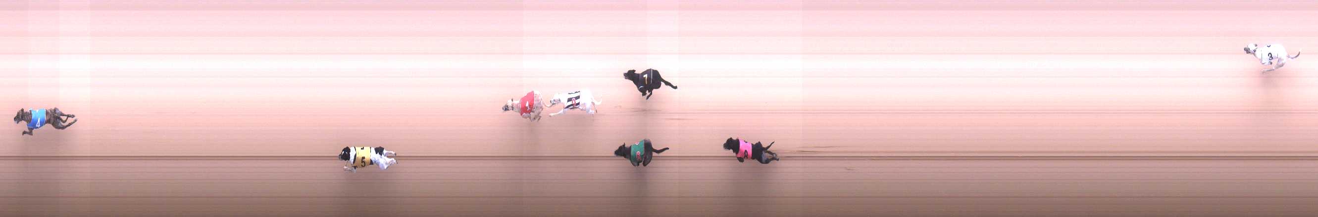 Photo finish for Cranbourne Race 2