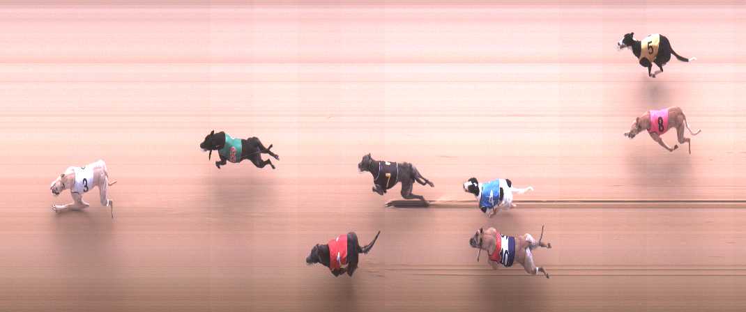 Photo finish for Cranbourne Race 3