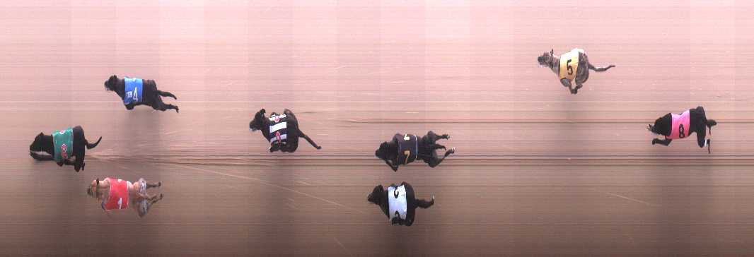 Photo finish for Cranbourne Race 4