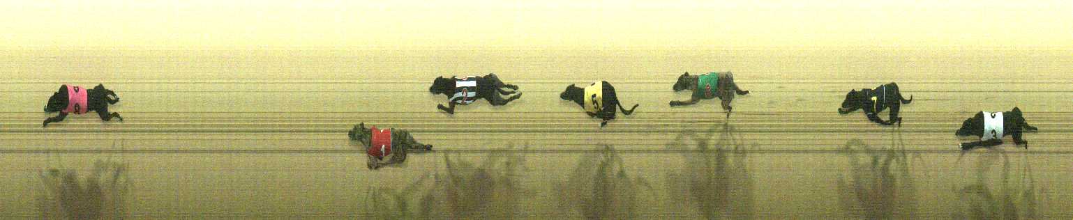 Photo finish for Cranbourne Race 8