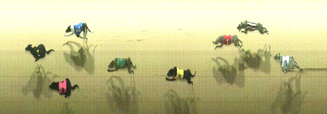 Photo finish for Cranbourne Race 12