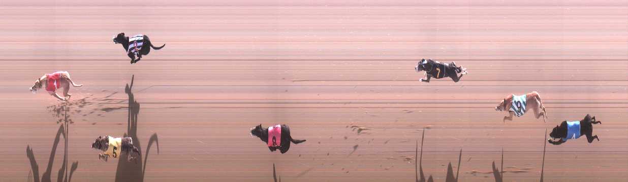 Photo finish for Cranbourne Race 2
