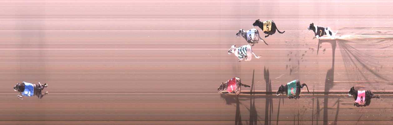 Photo finish for Cranbourne Race 4