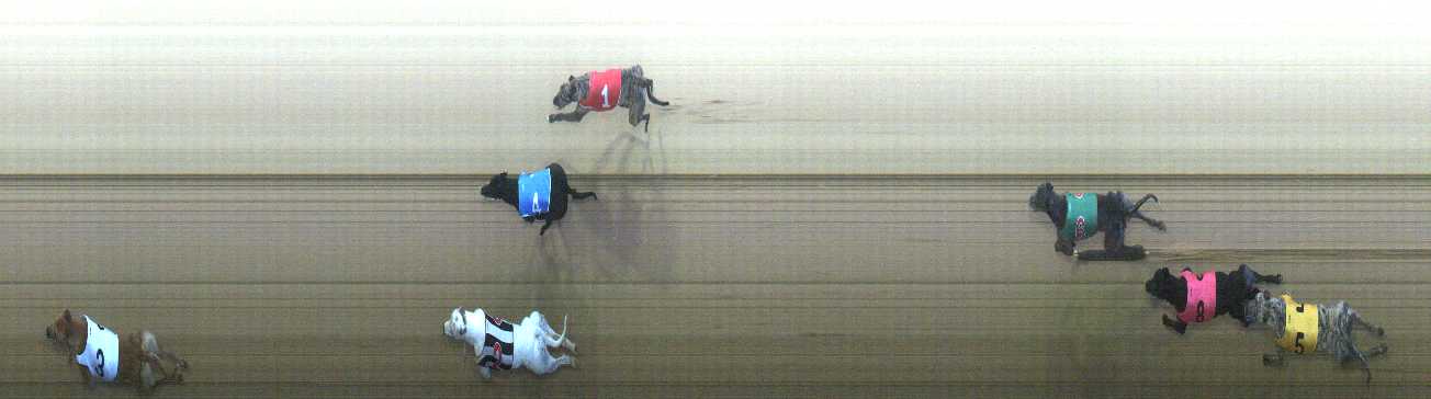 Photo finish for Cranbourne Race 6