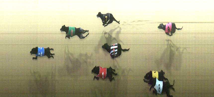 Photo finish for Cranbourne Race 7