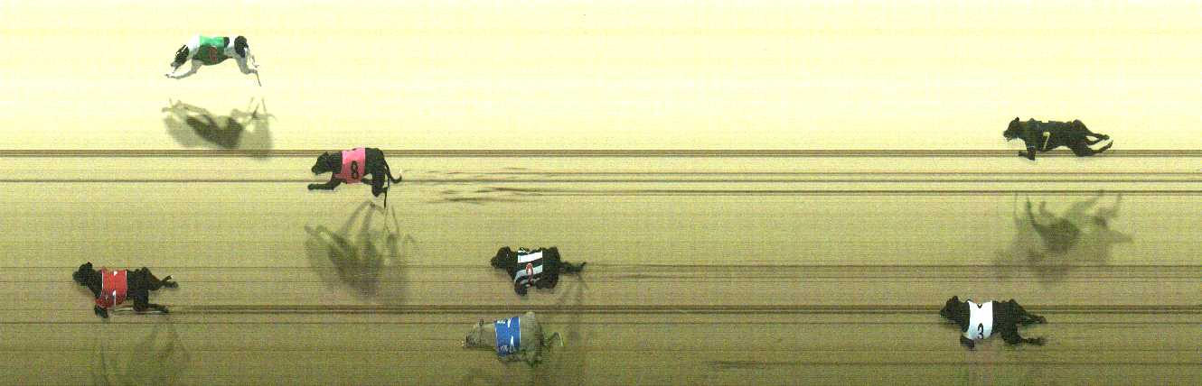 Photo finish for Cranbourne Race 8