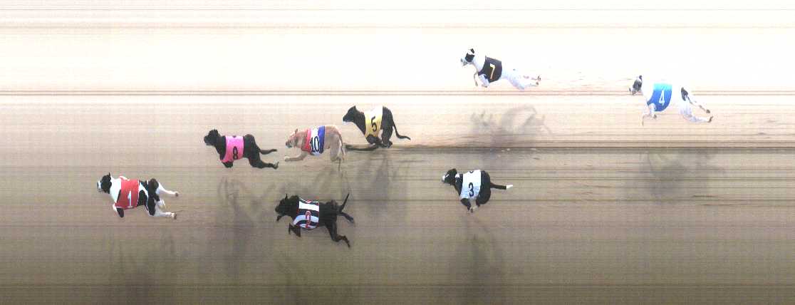Photo finish for Cranbourne Race 4
