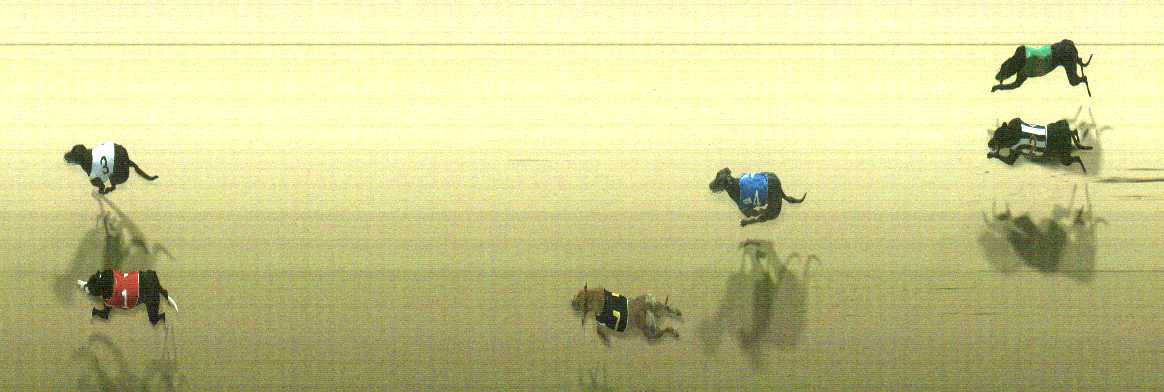Photo finish for Cranbourne Race 7