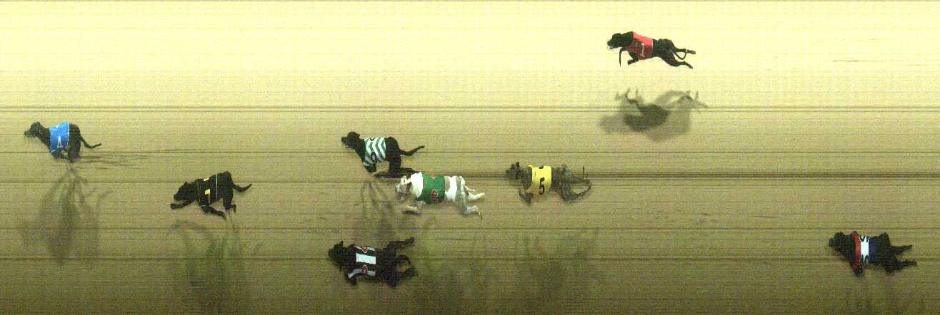 Photo finish for Cranbourne Race 8