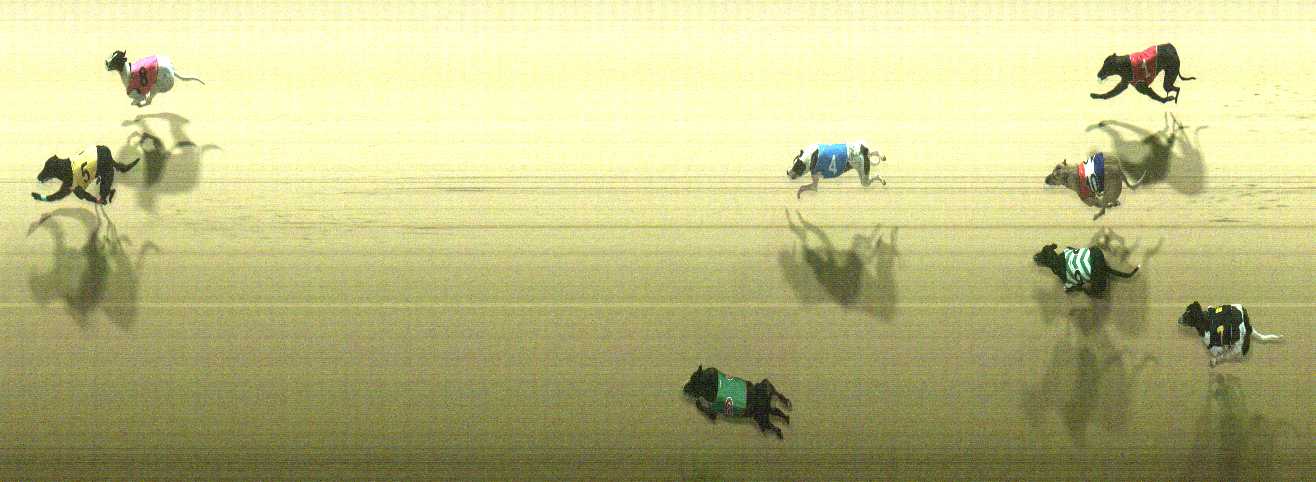 Photo finish for Cranbourne Race 10