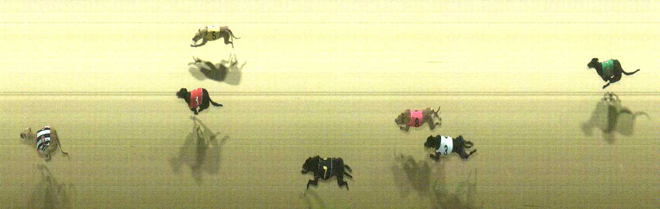 Photo finish for Cranbourne Race 11