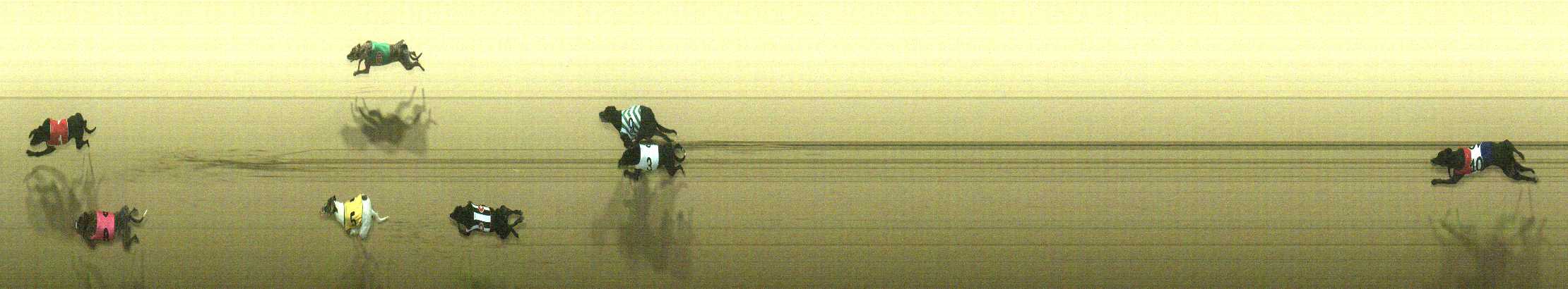 Photo finish for Cranbourne Race 12