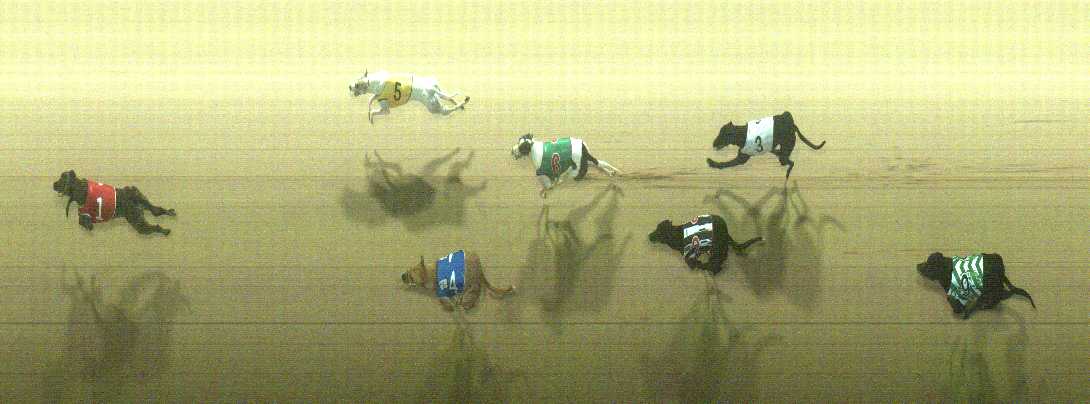 Photo finish for Cranbourne Race 5
