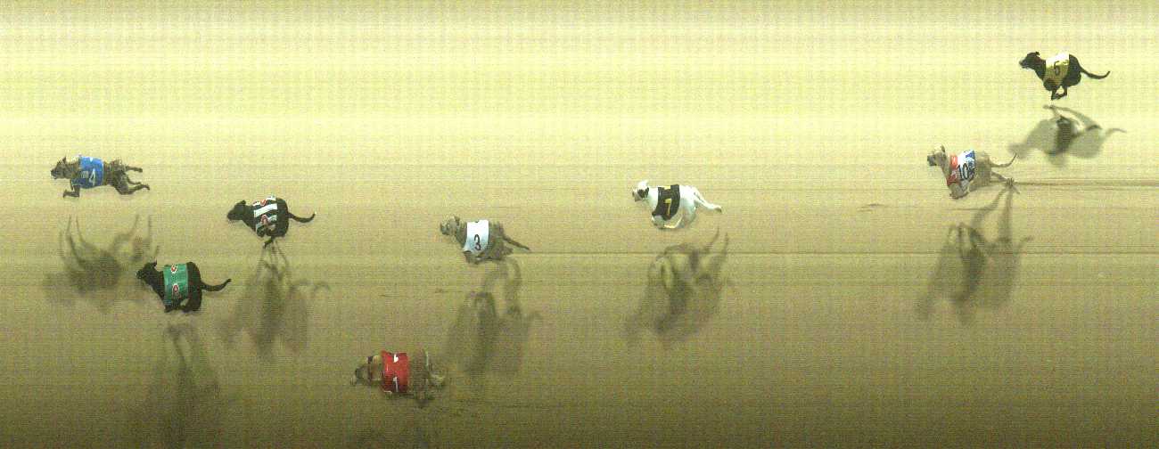 Photo finish for Cranbourne Race 11
