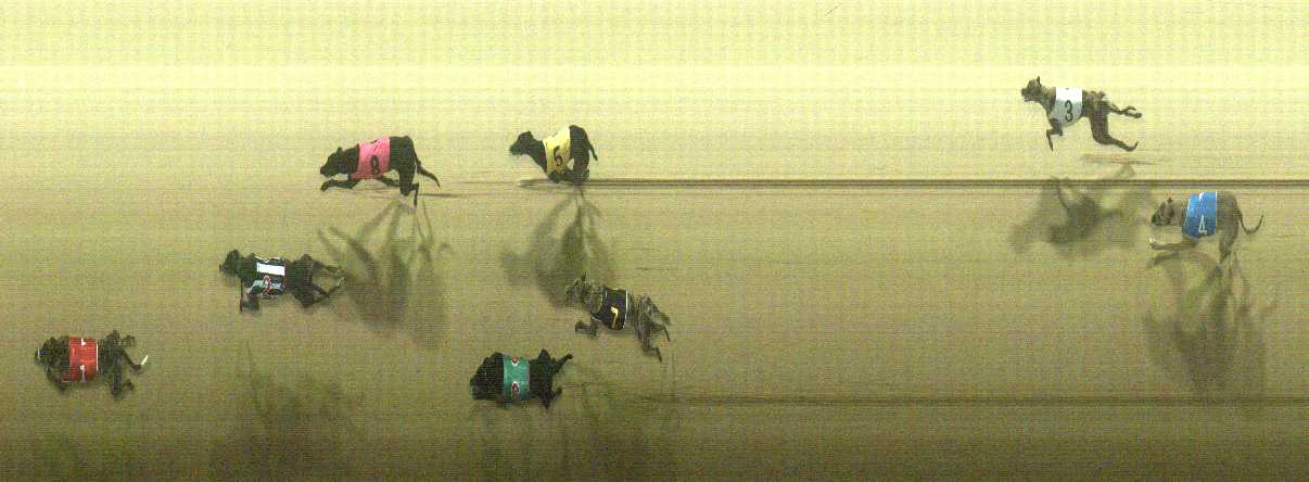 Photo finish for Cranbourne Race 12