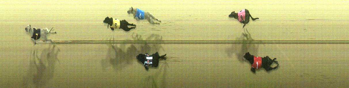 Photo finish for Cranbourne Race 10
