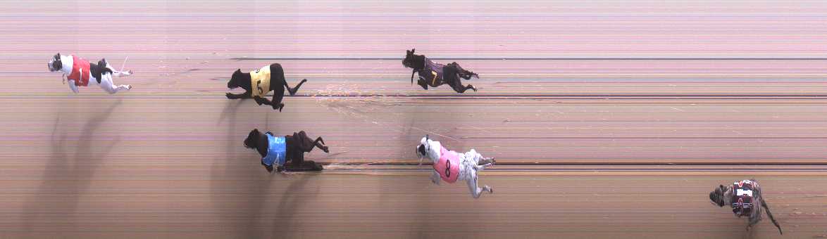 Photo finish for Cranbourne Race 4