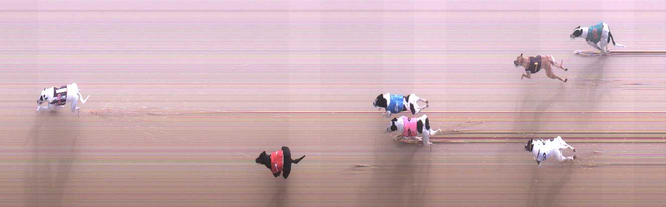 Photo finish for Cranbourne Race 5