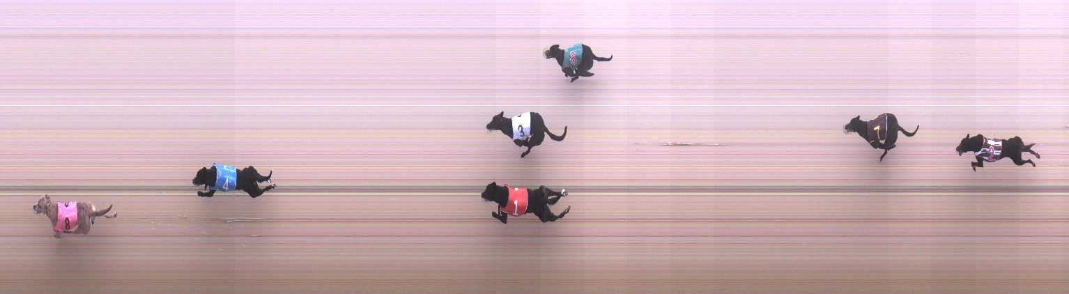 Photo finish for Cranbourne Race 6