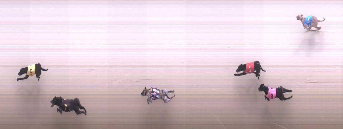 Photo finish for Cranbourne Race 9