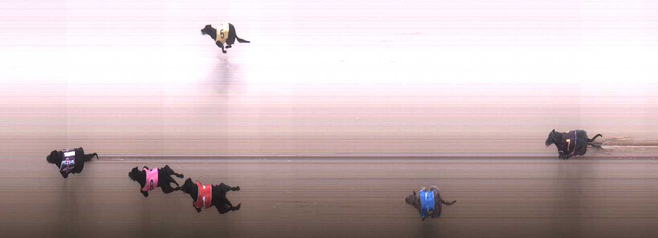Photo finish for Cranbourne Race 10