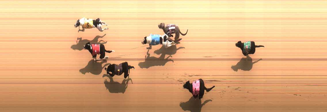 Photo finish for Cranbourne Race 10