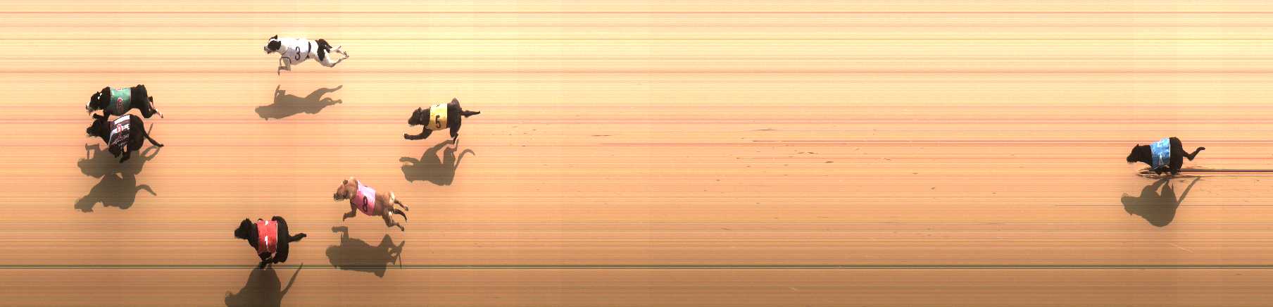 Photo finish for Cranbourne Race 12
