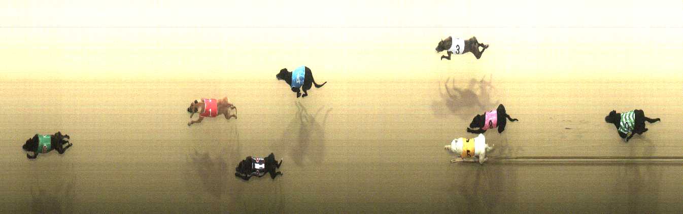 Photo finish for Cranbourne Race 2