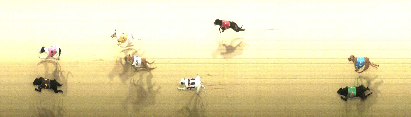 Photo finish for Cranbourne Race 3