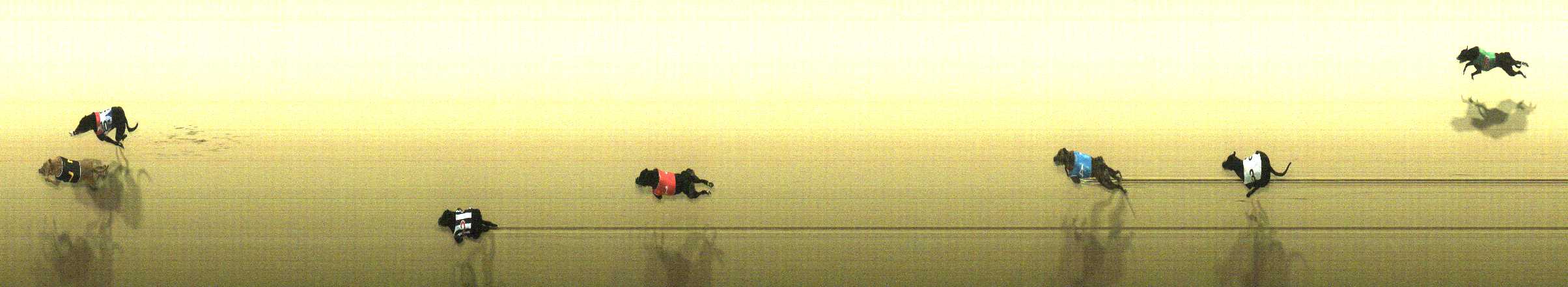Photo finish for Cranbourne Race 4