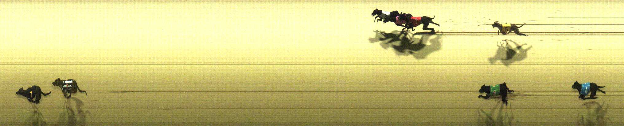 Photo finish for Cranbourne Race 5