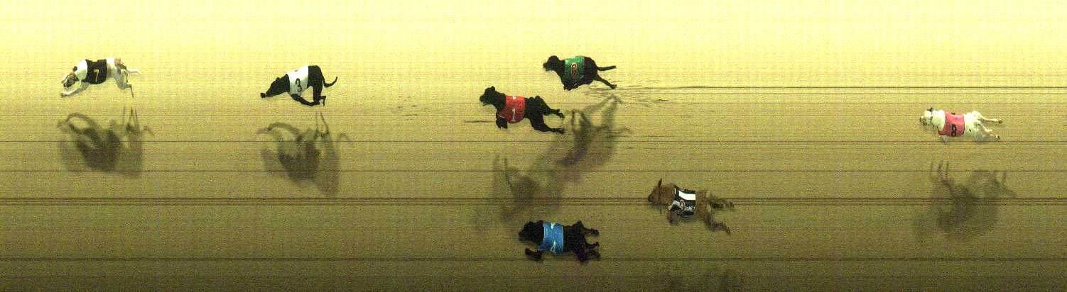 Photo finish for Cranbourne Race 6