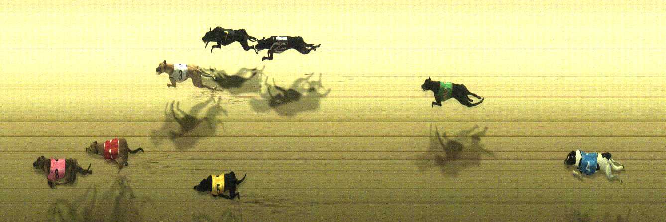 Photo finish for Cranbourne Race 7