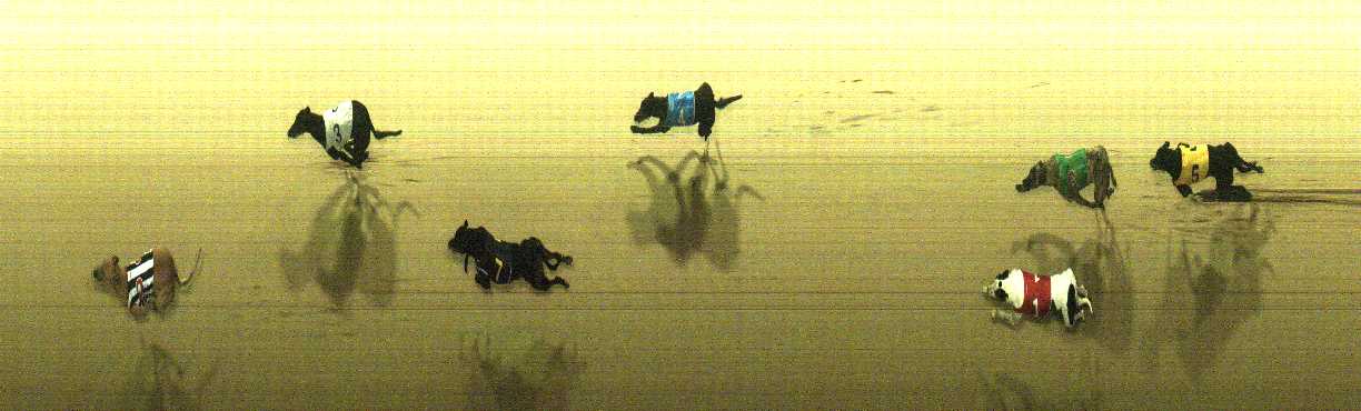 Photo finish for Cranbourne Race 10