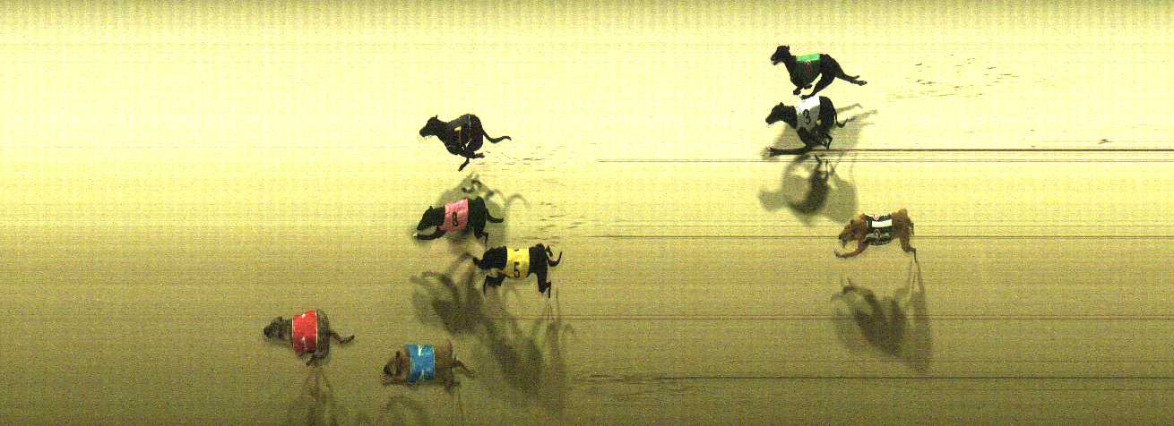 Photo finish for Cranbourne Race 11
