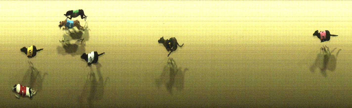 Photo finish for Cranbourne Race 12