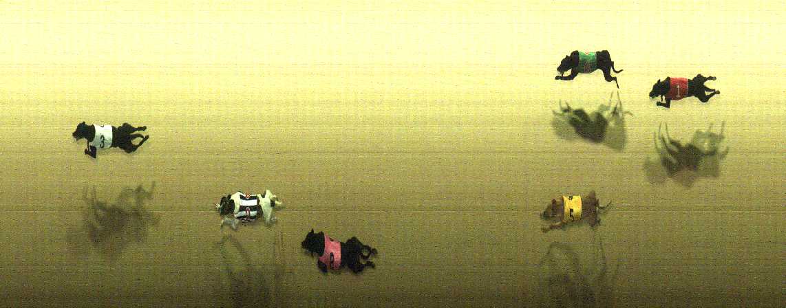 Photo finish for Cranbourne Race 7