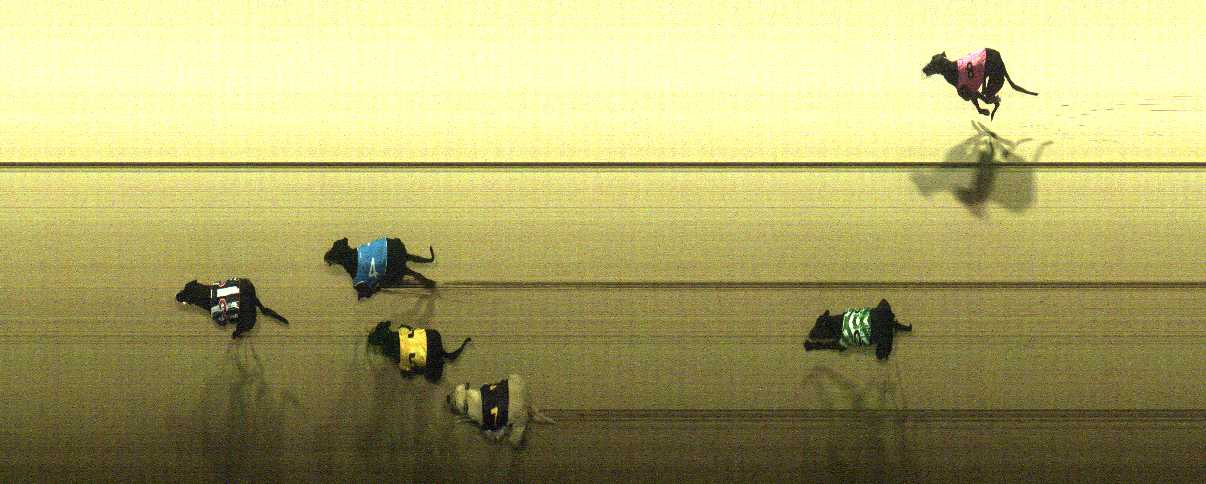 Photo finish for Cranbourne Race 8